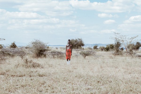 Comment découvrir la culture des tribus Maasai lors d'une visite au Kenya?